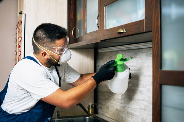 Best Mosquito Control Services  in Henderson, NV